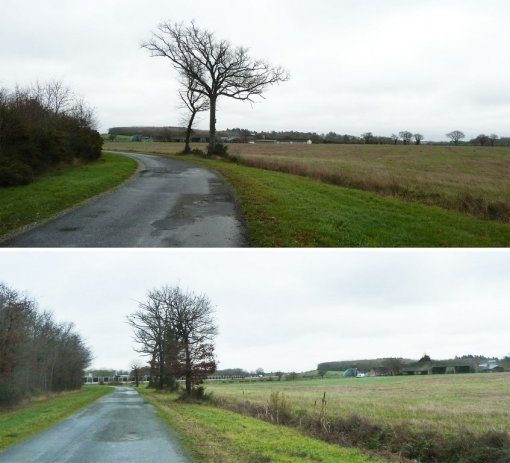 Ambiance de l'enclave agricole bocagère des Buissons – communes de Saint-Lambert-La-Potherie – Saint- Jean-de-Linières en grand format (nouvelle fenêtre)