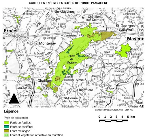 Carte des types de boisements de la forêt de Mayenne (source : Corine land Cover, 2006) en grand format (nouvelle fenêtre)
