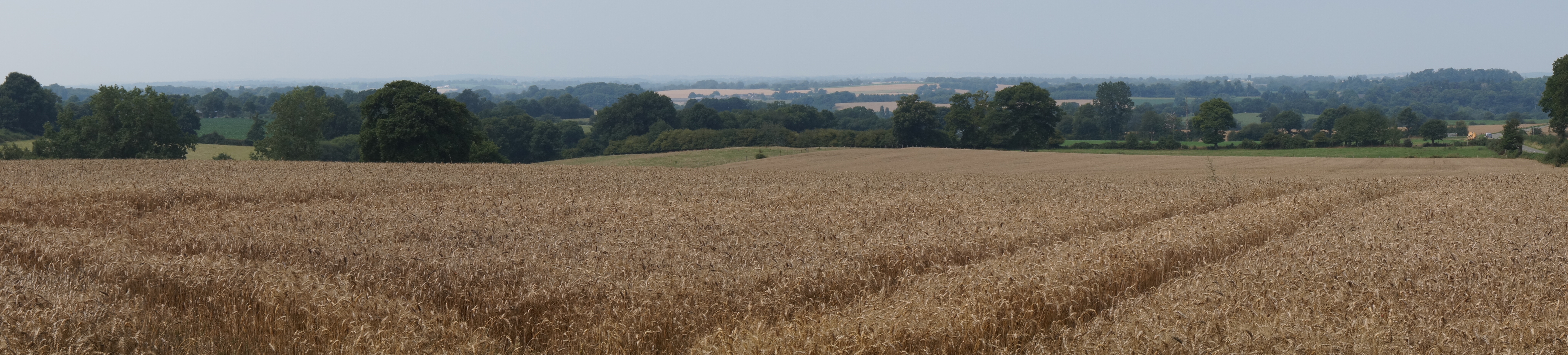 Une plateau cultivé ouvert, ondulé par les vallons bocagers et dominant la vallée de la Mayenne (Martigné-sur-Mayenne) en grand format (nouvelle fenêtre)