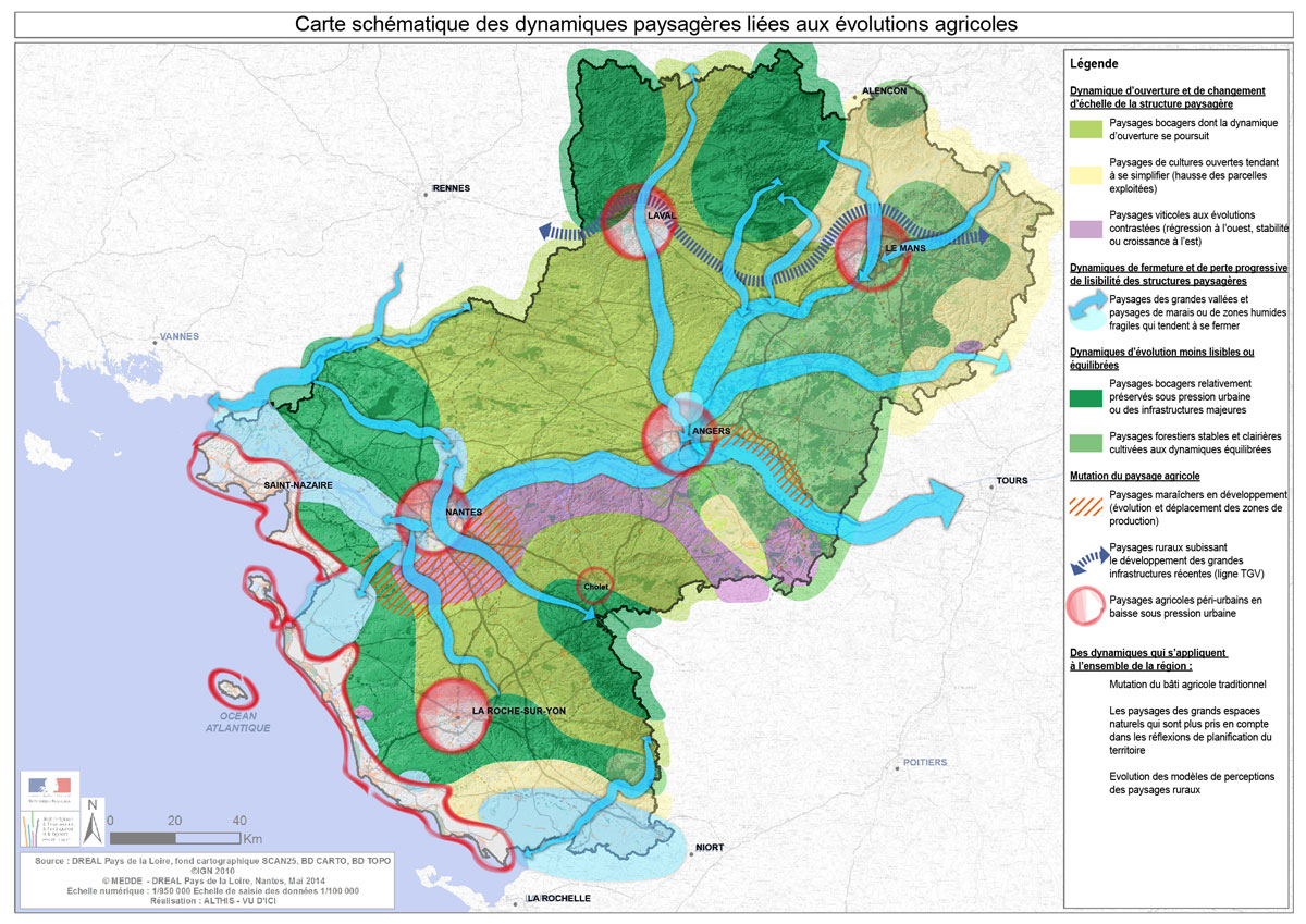 Carte schématique des dynamiques paysagères liées aux évolutions agricoles
