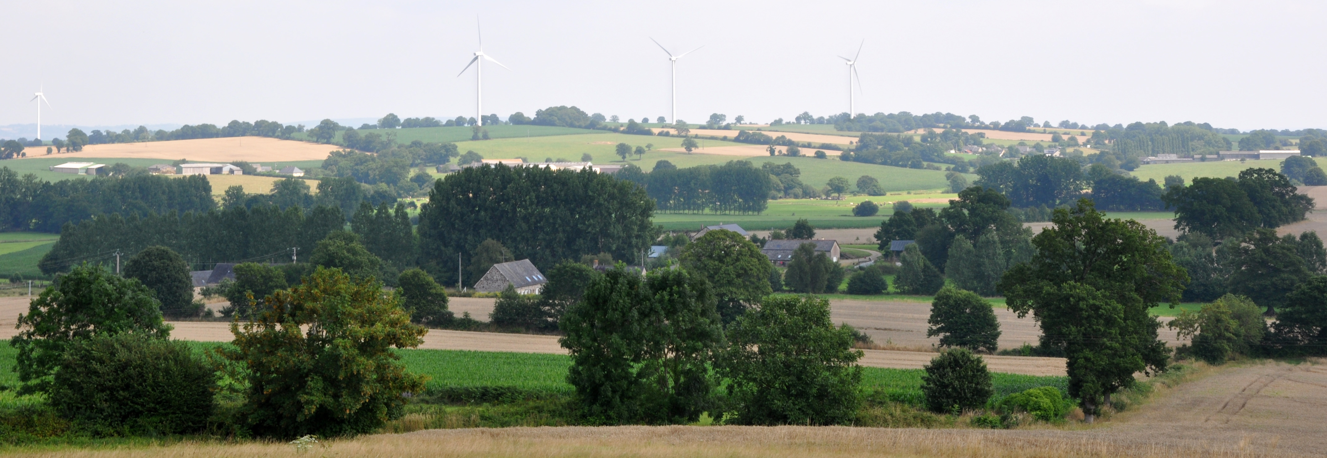 Un bocage semi-ouvert où dominent les grandes cultures, marqué par les peupleraies en fond de vallée, le bâti agricole diffus et les parcs éoliens