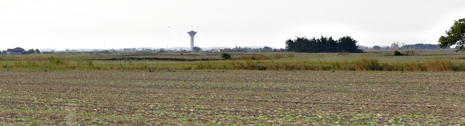 Les châteaux d'eau, un point de repère paysager sur l'horizon plat des marais