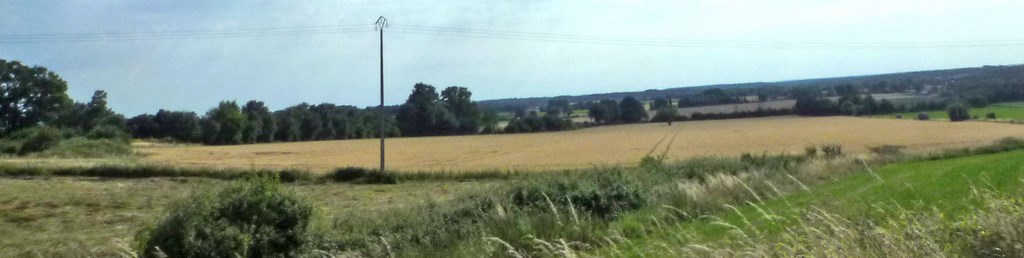 Un maillage lâche structurant les plateaux ondulés (Daumeray)