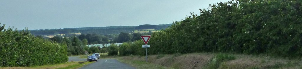 Soulignant les ondulations, les vergers contribuent à rythmer et structurer le paysage (Champigné)
