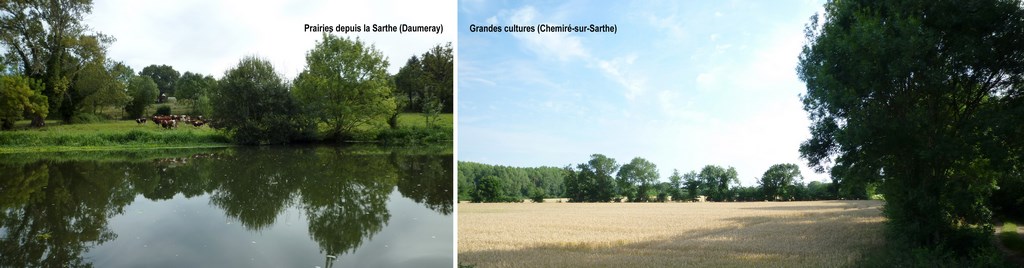 Alternances de prairies et de grandes cultures dans les fonds des principales vallées