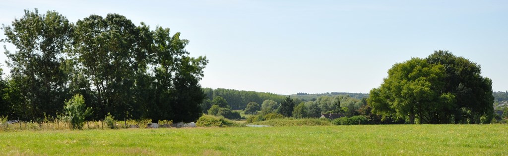 Depuis le coteau de la Sarthe, masque des peupleraies occultant les perméabilités visuelles de coteau à coteau (Tiercé)
