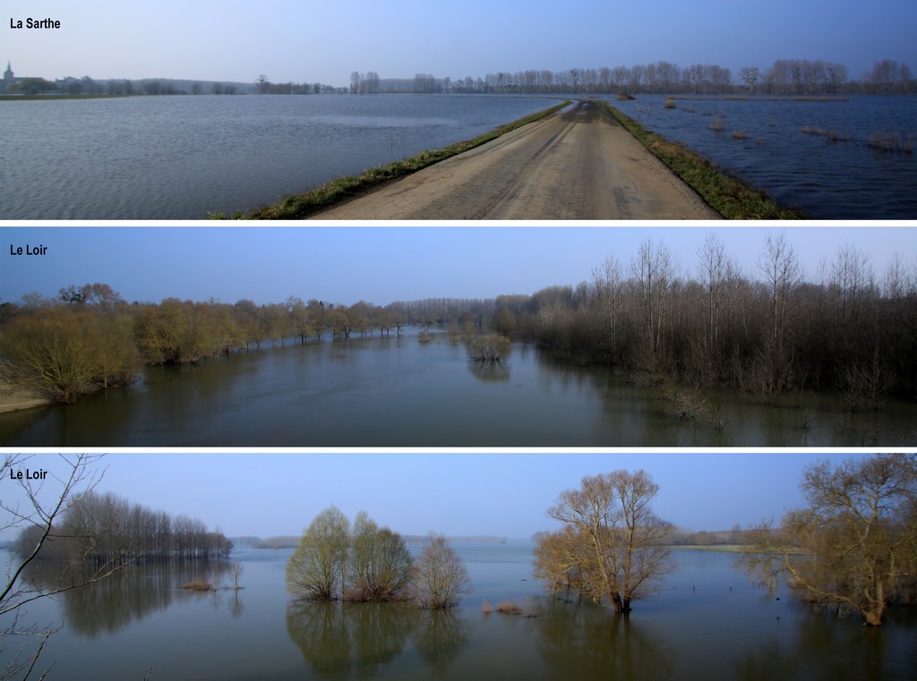 Loir et Sarthe en crue réunis dans un même lac (Briollay- Mars 2014)