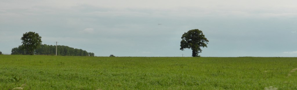 Plusieurs dynamiques en cours au sein de l’unité : ouverture des paysages agricoles qui renforce la présence ponctuelle des arbres disperses, développement des peupleraies dans les vallées en second plan (L’Hôtellerie-de-Flée - 2015)
