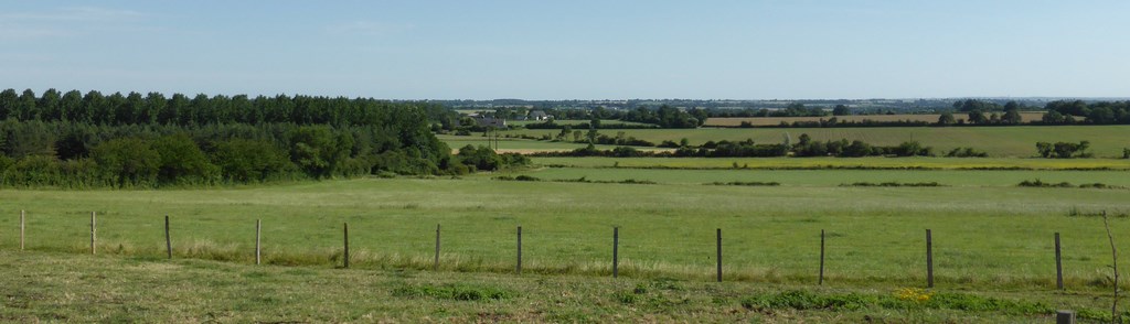 La déstructuration progressive du réseau bocager au sein des paysages agricoles (Bécon-les-Granits - 2015)