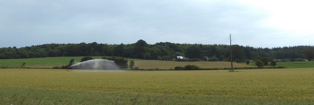 Le renforcement des boisements sur les crêtes est en cours au sein de l’unité (Loire - 2015)