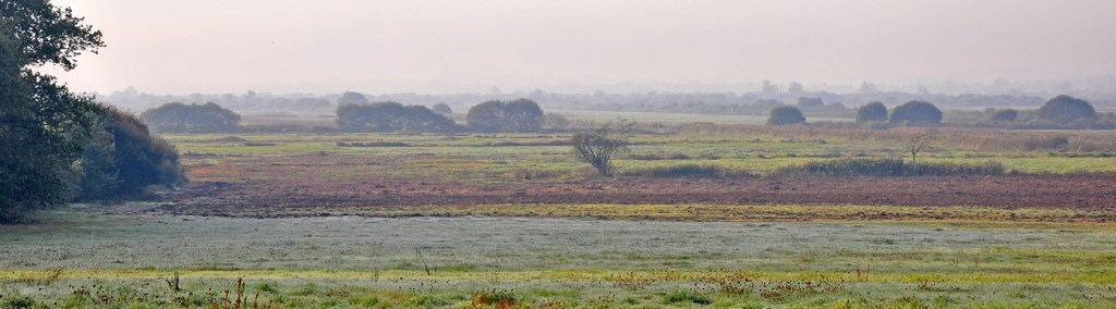 Plaine des marais de Petit-Mars (Petit-Mars)