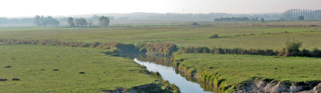 Paysage ouvert des prairies inondables des marais de Grée (Saint-Herblon)