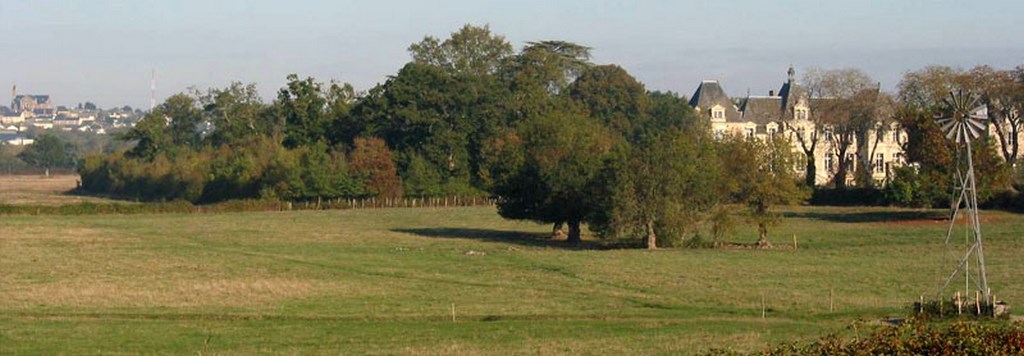 Château et parc de Vair qui marque le paysage devant le bourg perché de Saint-Herblon (Anetz)