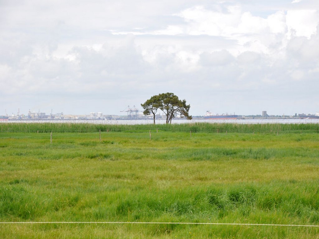 Contrastes entre la rive nord industrielle et la rive sud pâturée (Corsept)
