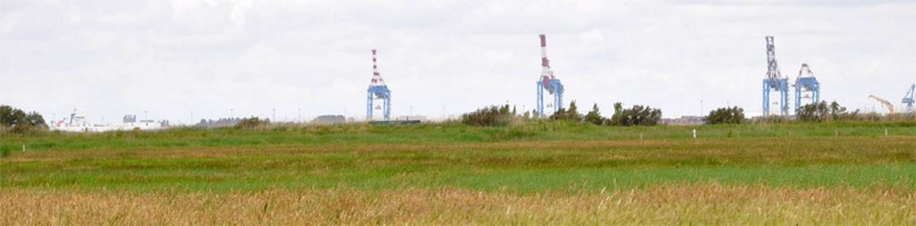 Des grues qui ponctuent l’horizon de l’estuaire (Corsept)