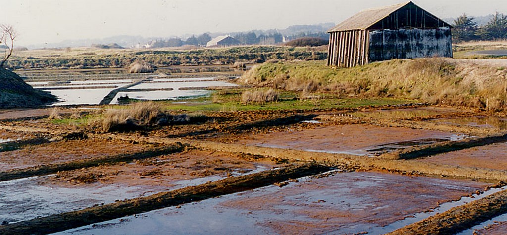 Les marais salants de Guérande vus du site classé du Pradel (Guérande)