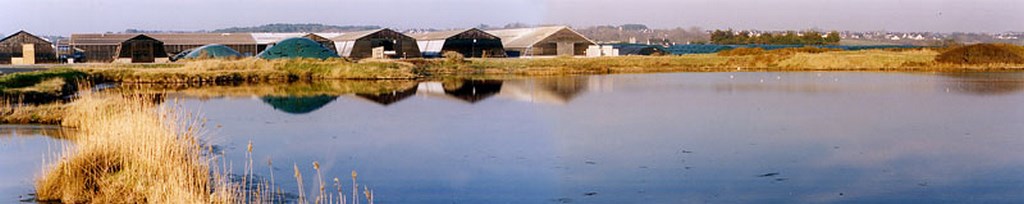 Ambiance emblématique du marais, animé des salorges du Pradel (Guérande)