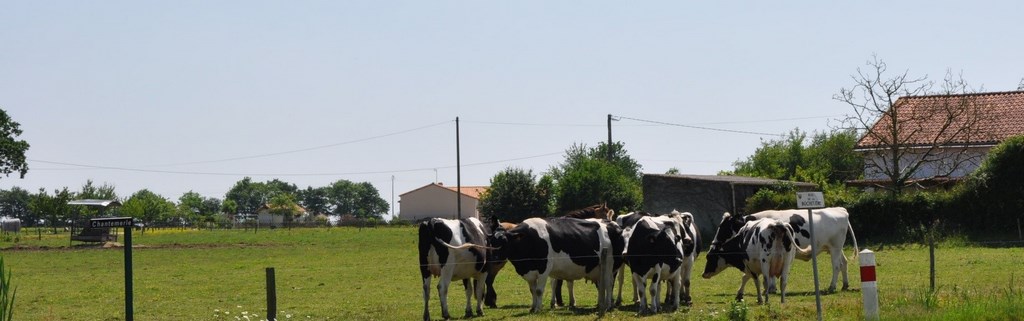 Plateau bocager à l’Est de La Chevrolière
