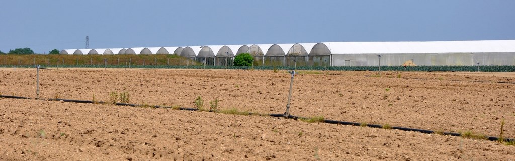 Diversité du monde agricole et maraichage - partie Est de l’unité – La Planche