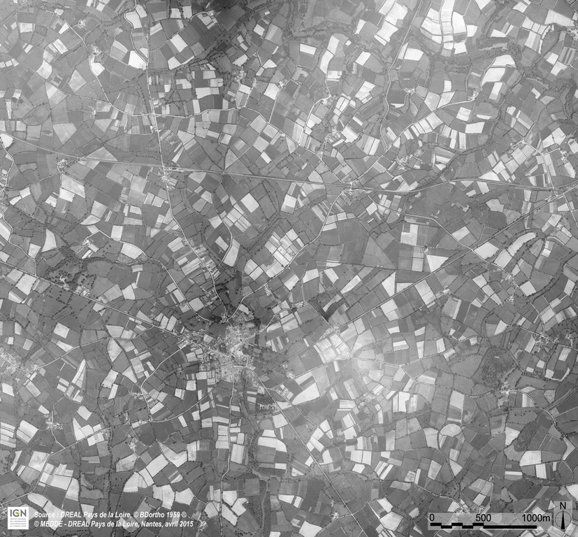 Bournezau – Orthophoto 1959 (BD ORTHO Historique 1959)