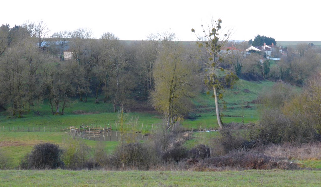 Paysage de vallons (Sérigné – 2015)