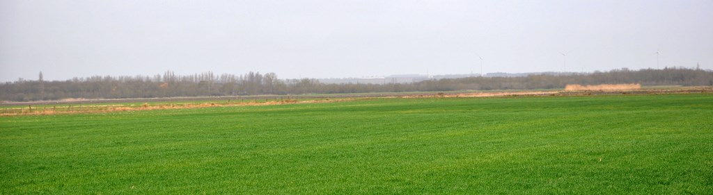 Cordon boisé et coteau doux au nord du marais (Moreilles)