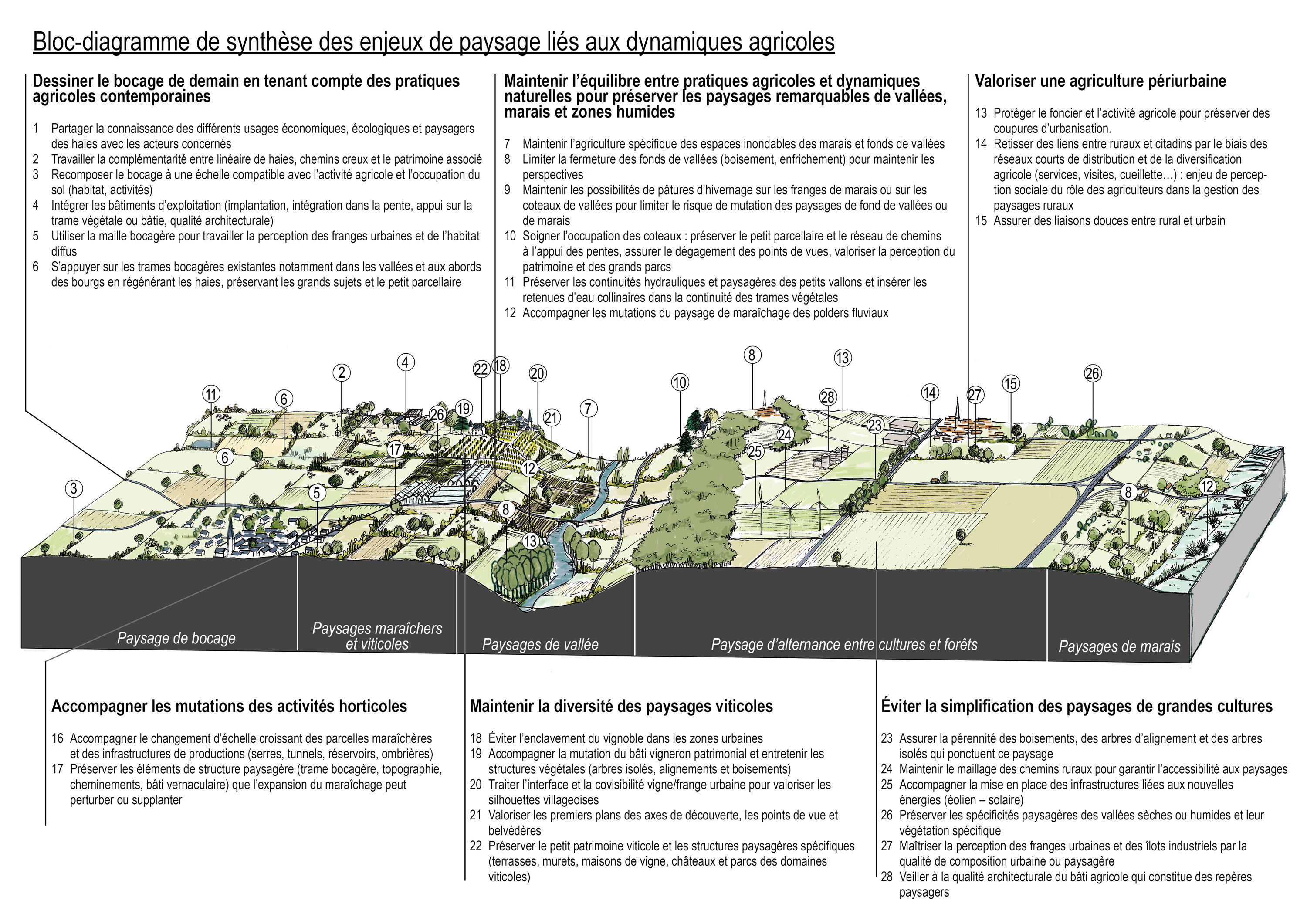 Bloc-diagramme de synthèse des enjeux de paysager liés aux évolutions agricoles en grand format (nouvelle fenêtre)