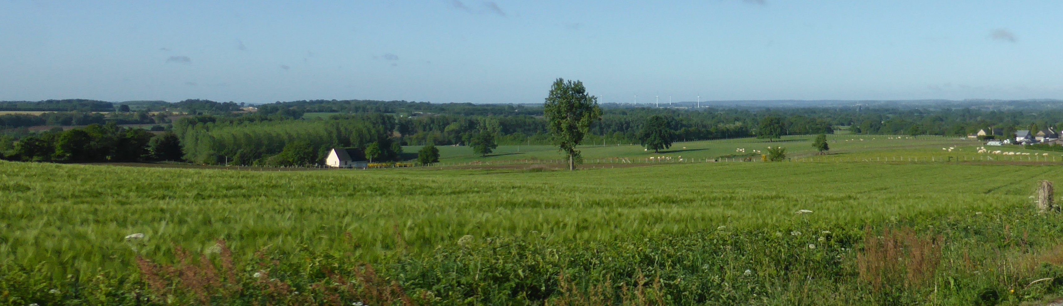 Les paysages agricoles s'ouvrent progressivement. Cette dynamique est visible de manière générale sur l'unité (Lassay-les-Châteaux – 2015) en grand format (nouvelle fenêtre)