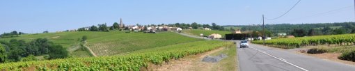 Paysage viticole ondulé des coteaux de Saint-Fiacre en grand format (nouvelle fenêtre)