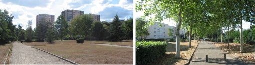 Paysage de grands immeubles dans un écrin de verdure caractéristique des grands ensembles (les Sablons, Le Mans) en grand format (nouvelle fenêtre)