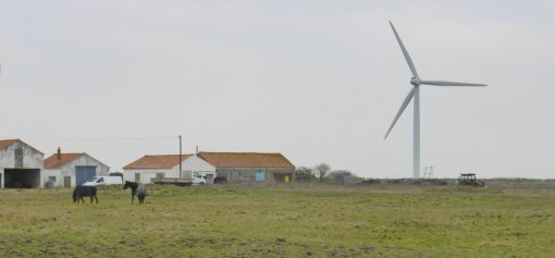 Le parc éolien de Bouin dans le paysage des marais (Bouin – 2015) en grand format (nouvelle fenêtre)