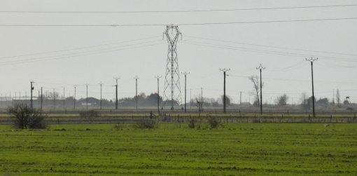 Le caractère horizontal du paysage amplifie la visibilité des installations électriques (Champagné-les-Marais – 2015) en grand format (nouvelle fenêtre)