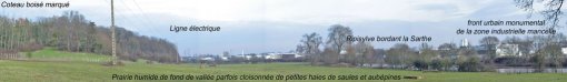 Paysage le long de la Sarthe de prairies inondables ouvertes sur le coteau boisé et la frange urbaine du Mans (Allonnes) en grand format (nouvelle fenêtre)